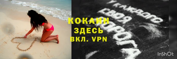 гашик Каменка