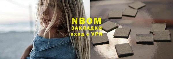 гашик Каменка