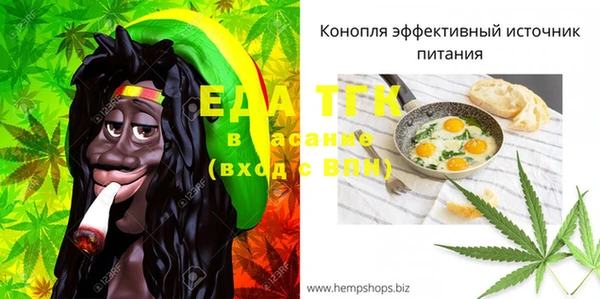 гашик Каменка