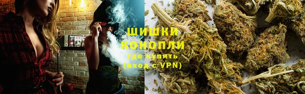 гашик Каменка