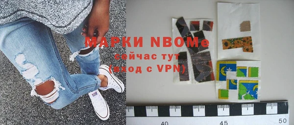 гашик Каменка