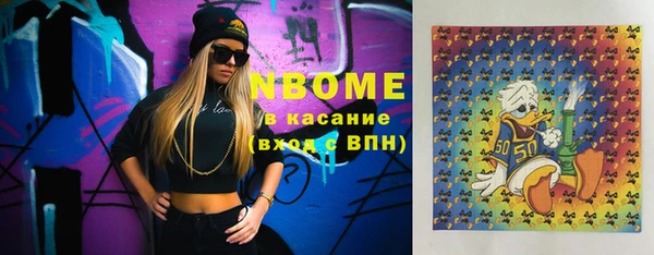 гашик Каменка