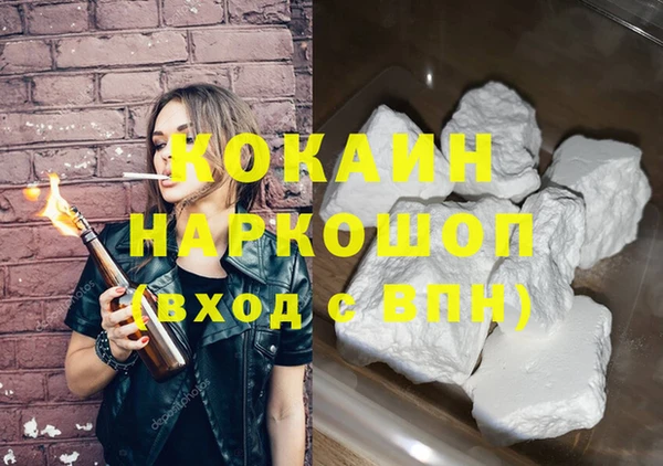 гашик Каменка