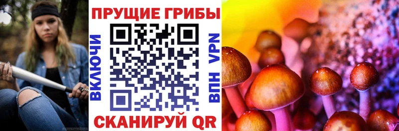 Псилоцибиновые грибы мицелий  Электроугли 